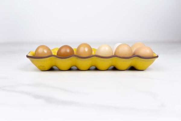 Egg Crate-Yellowstone - Image 8
