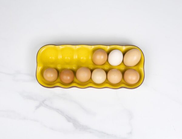 Egg Crate-Yellowstone - Image 4