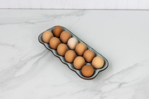 Egg Crate- Araucana Blue - Image 8