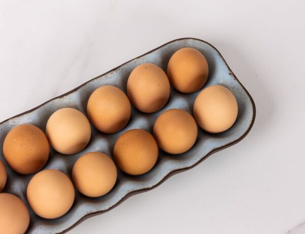 Egg Crate- Araucana Blue - Image 2