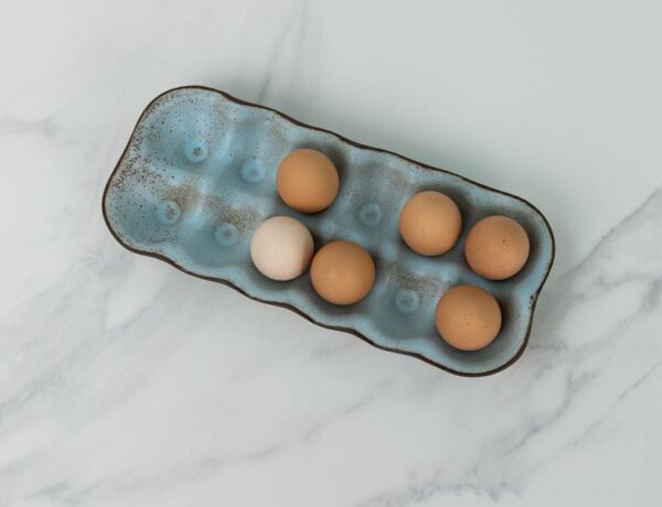 Egg Crate- Araucana Blue - Image 3