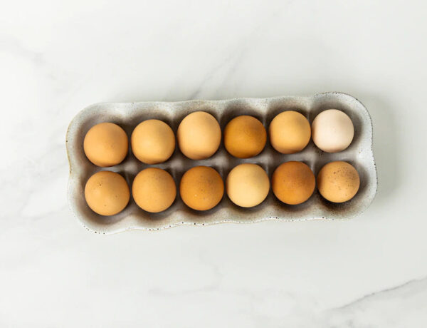 Egg Crate-Forlk Farm - Image 8